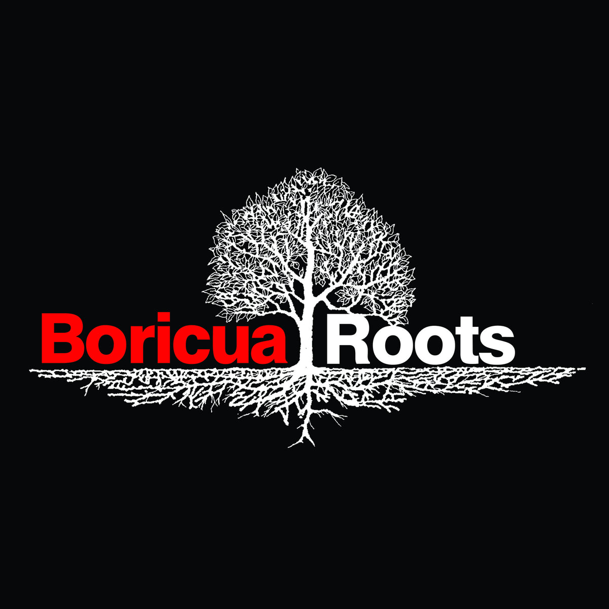 Boricua Roots