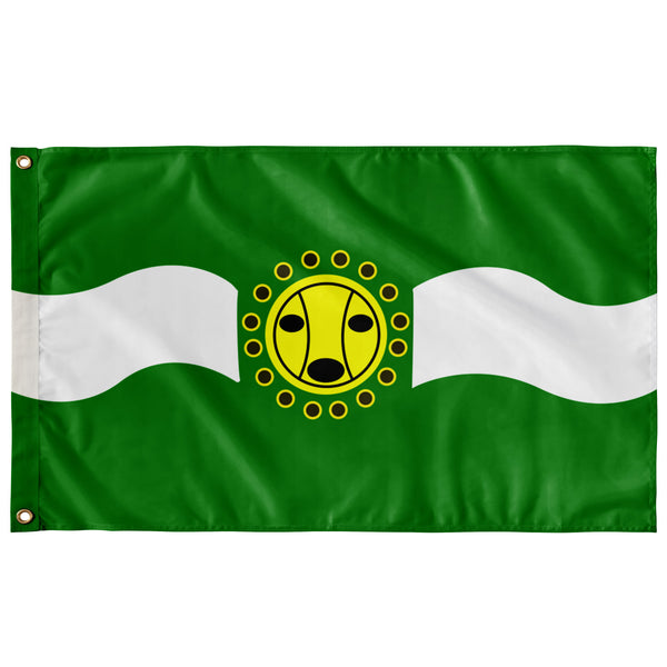 Camuy Flag