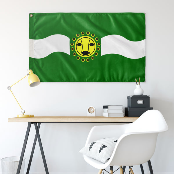 Camuy Flag