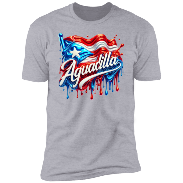 Aguadilla Type 2 Premium Short Sleeve T-Shirt