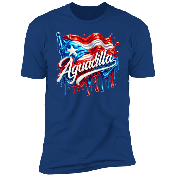 Aguadilla Type 2 Premium Short Sleeve T-Shirt