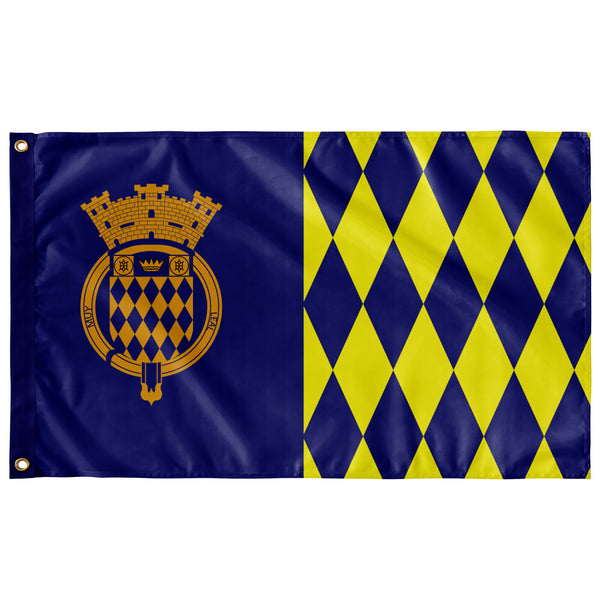 Arecibo Flag