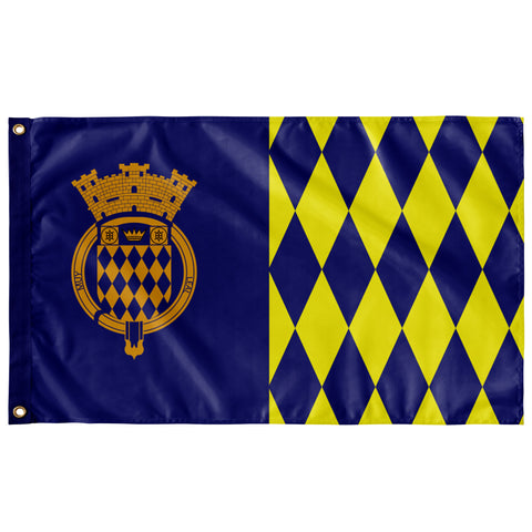 Arecibo Flag