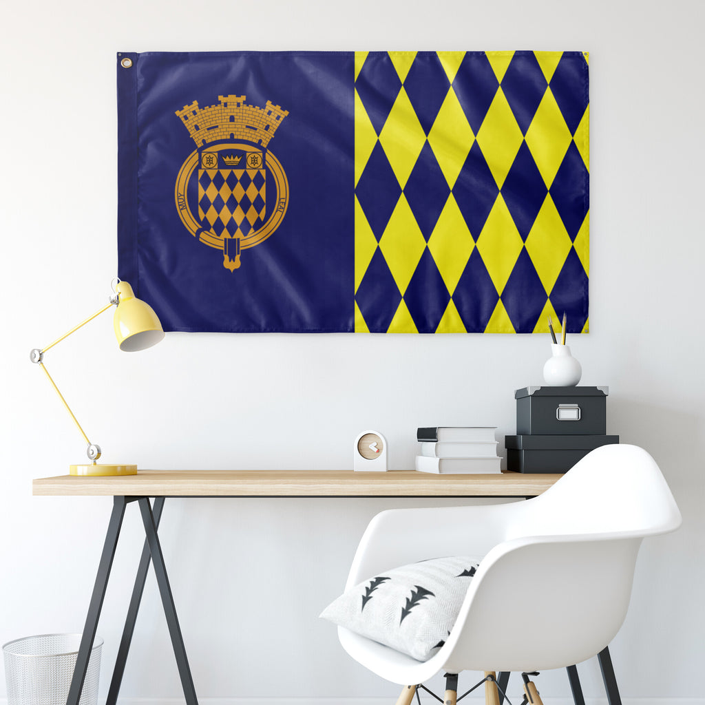 Arecibo Flag