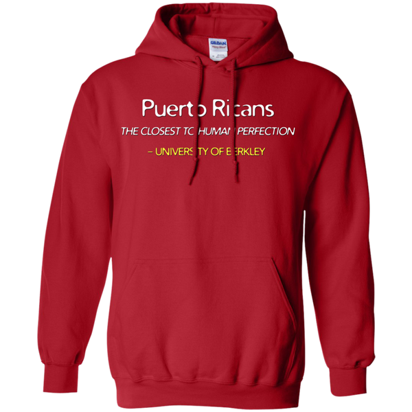 Human Perfection Pullover Hoodie 8 oz - PR FLAGS UP