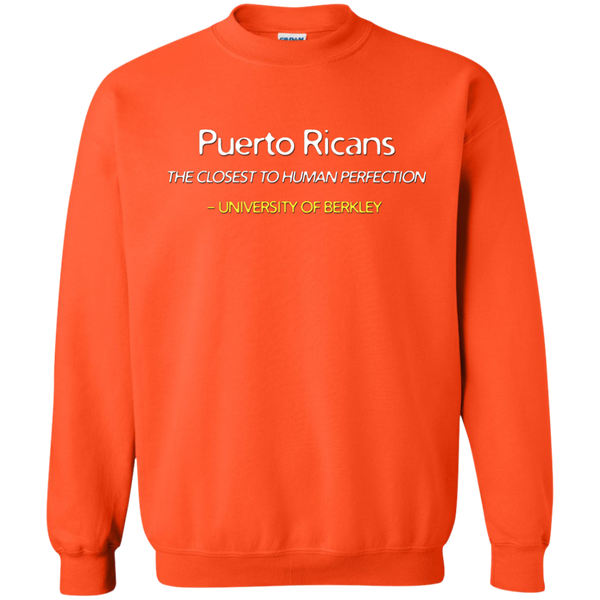 Human Perfection Printed Crewneck Pullover Sweatshirt  8 oz - PR FLAGS UP