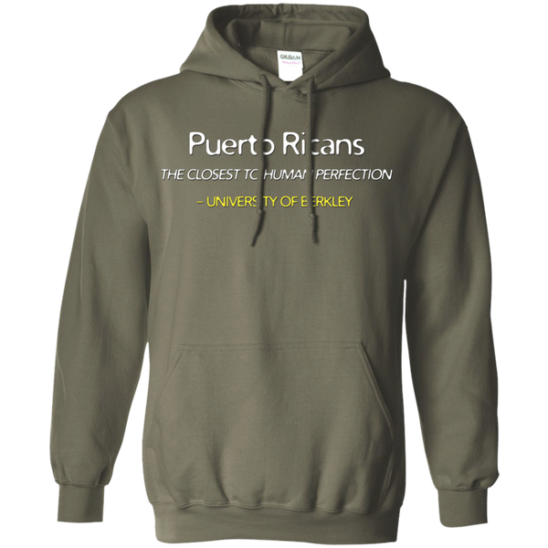 Human Perfection Pullover Hoodie 8 oz - PR FLAGS UP