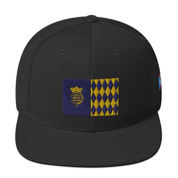 Arecibo Snapback Hat