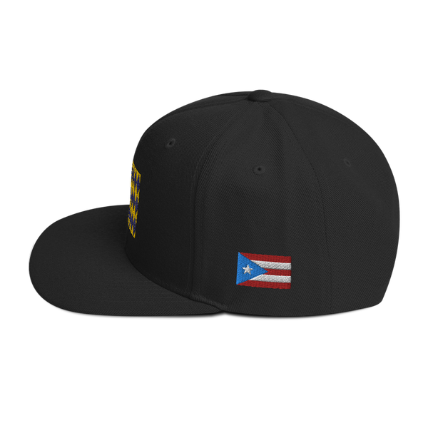 Arecibo Snapback Hat