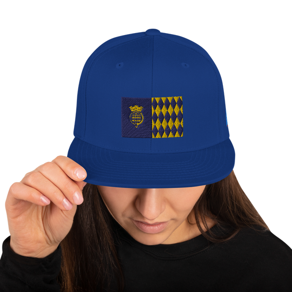 Arecibo Snapback Hat