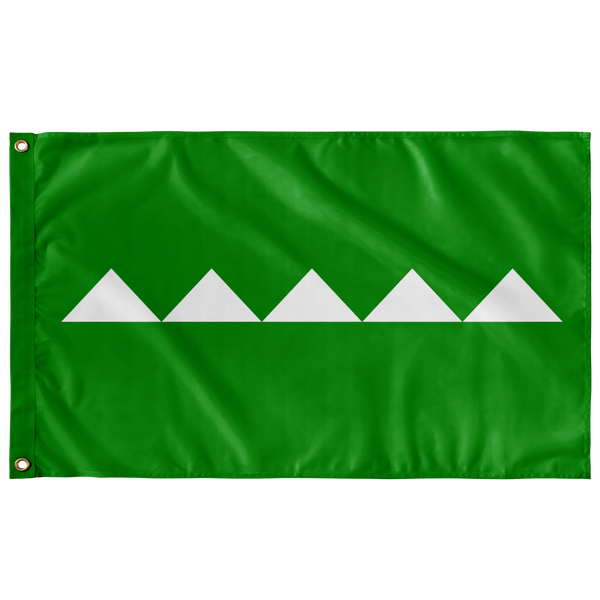 Salinas Flag