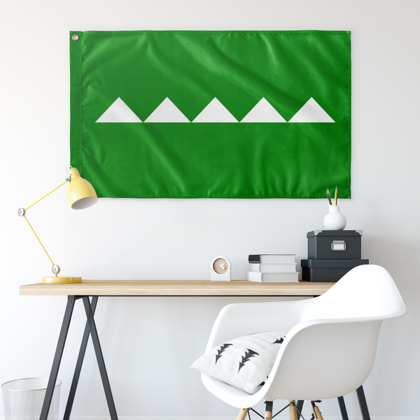 Salinas Flag