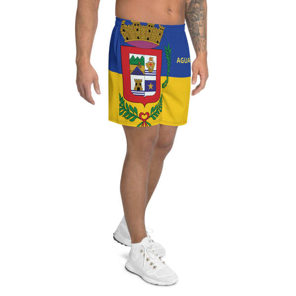 Aguadilla Men's Athletic Long Shorts