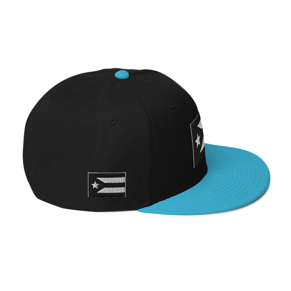 Resist Flag Snapback Hat