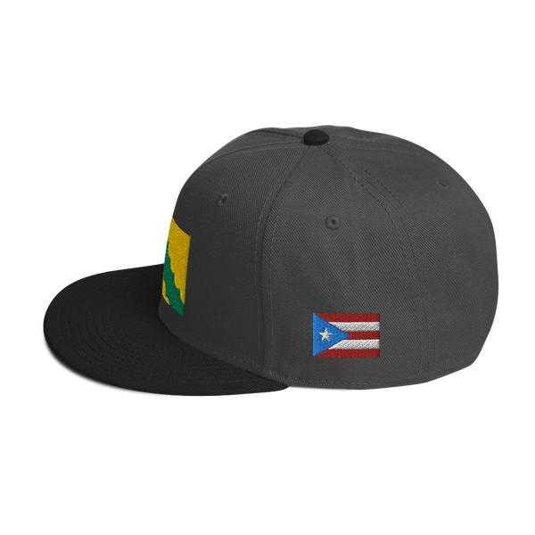 Vega Baja Snapback Hat