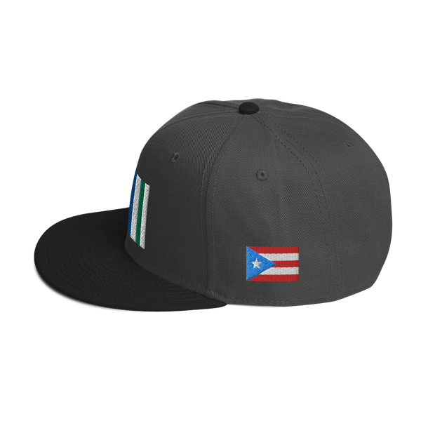 Vega Alta Snapback Hat