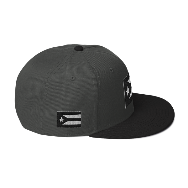 Resist Flag Snapback Hat