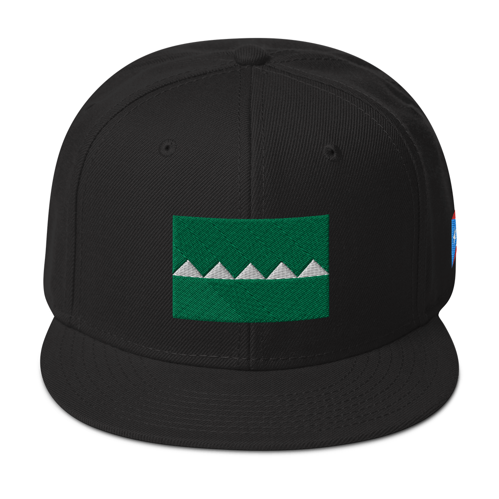 Salinas Snapback Hat