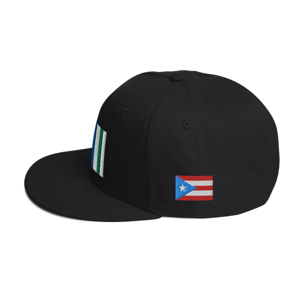 Vega Alta Snapback Hat