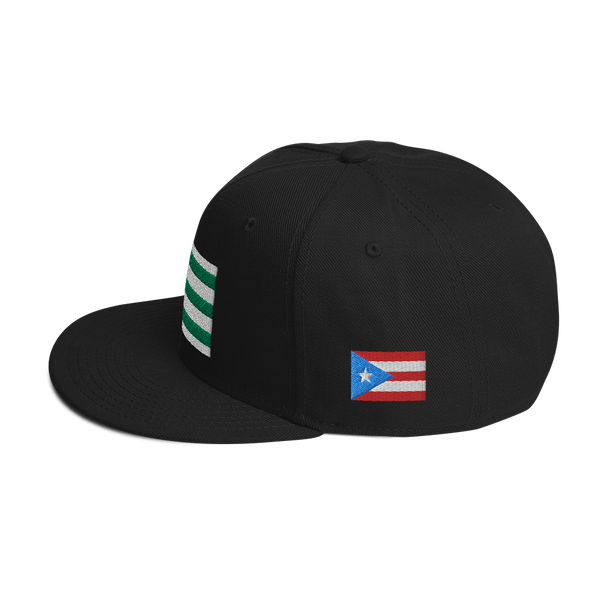 Añasco Snapback Hat
