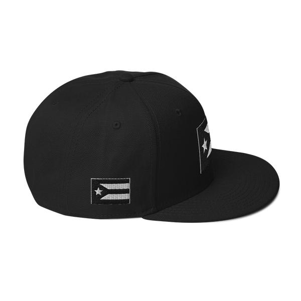 Resist Flag Snapback Hat