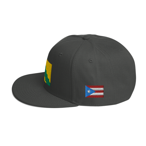 Vega Baja Snapback Hat