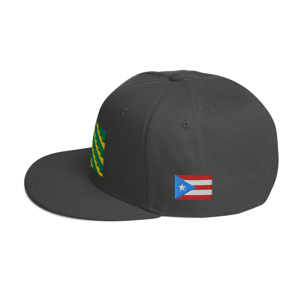 Gurabo Snapback Hat