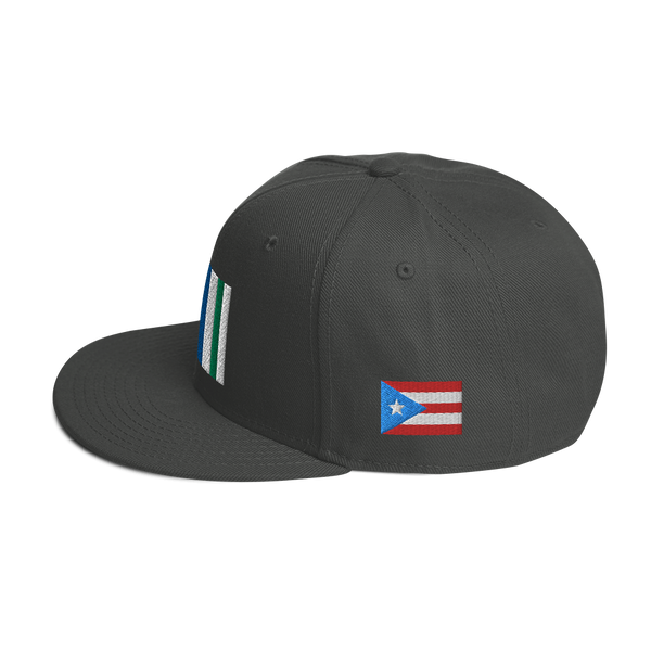 Vega Alta Snapback Hat