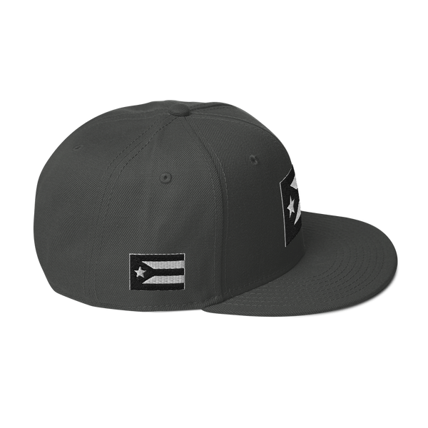 Resist Flag Snapback Hat