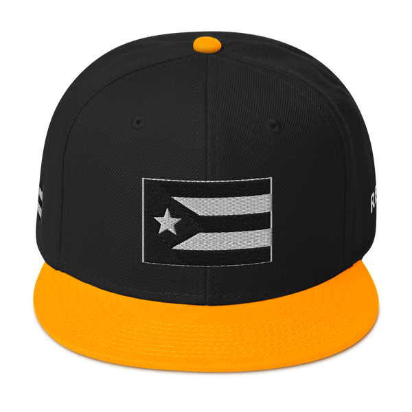 Resist Flag Snapback Hat