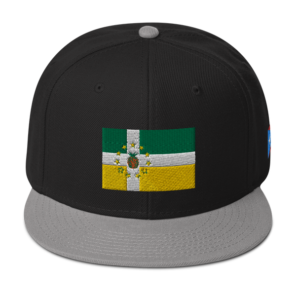 Lajas Snapback Hat