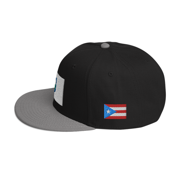 Trujillo Alto Snapback Hat