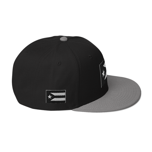 Resist Flag Snapback Hat