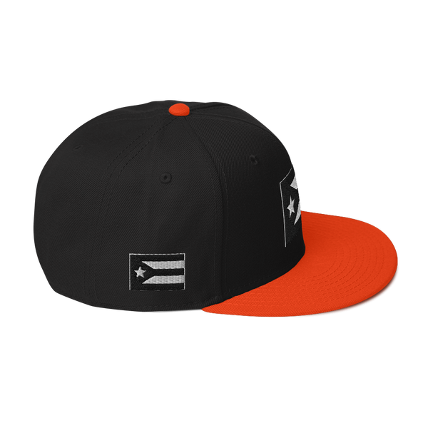 Resist Flag Snapback Hat