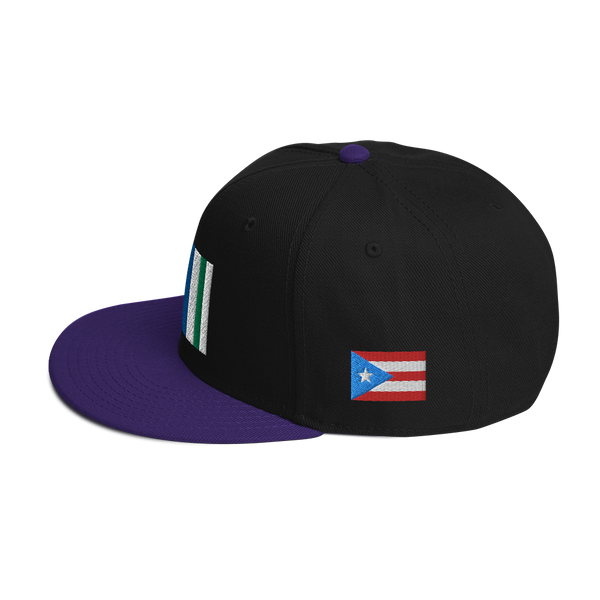 Vega Alta Snapback Hat
