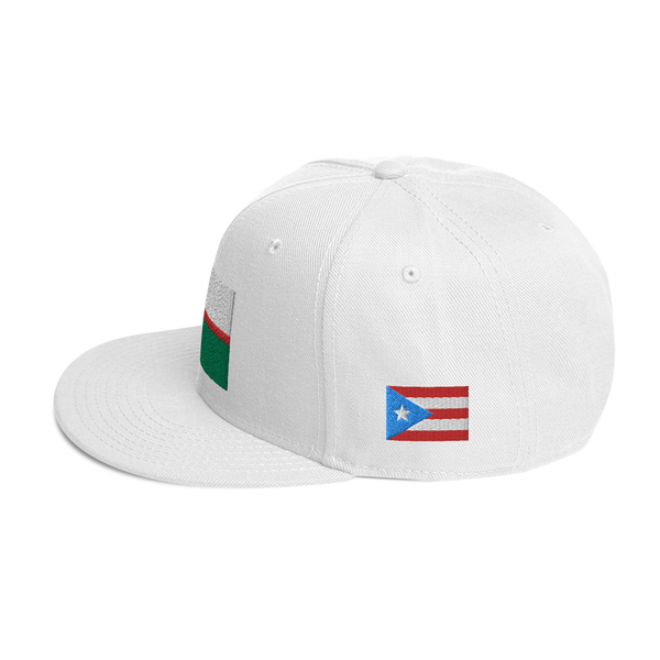 Florida Snapback Hat