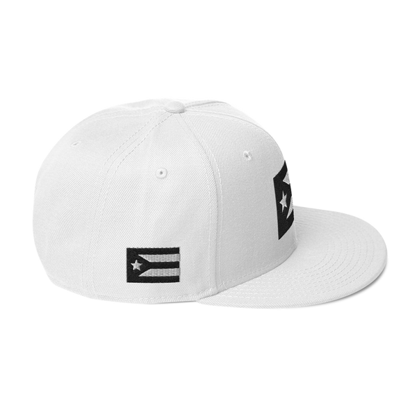 Resist Flag Snapback Hat